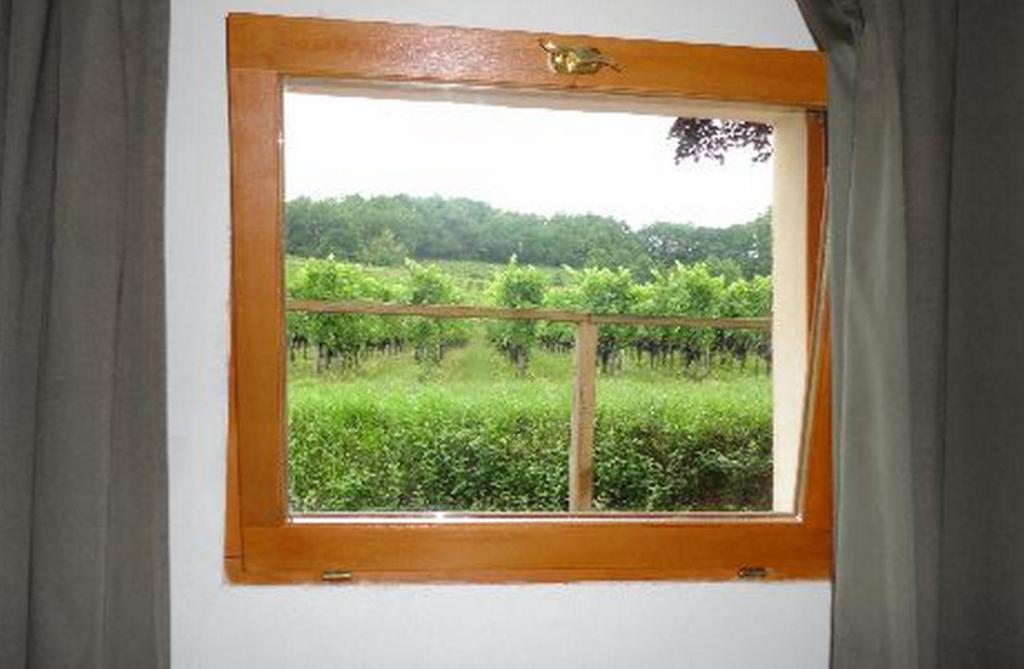 Hotel La Petite Madeleine Castillon-la-Bataille Habitación foto