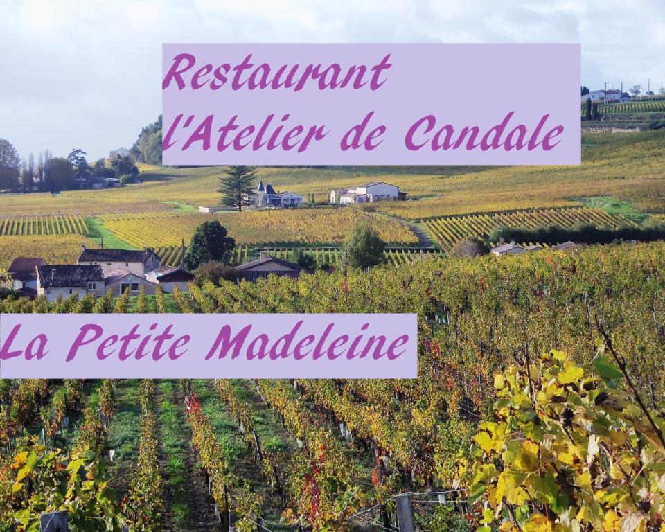 Hotel La Petite Madeleine Castillon-la-Bataille Exterior foto